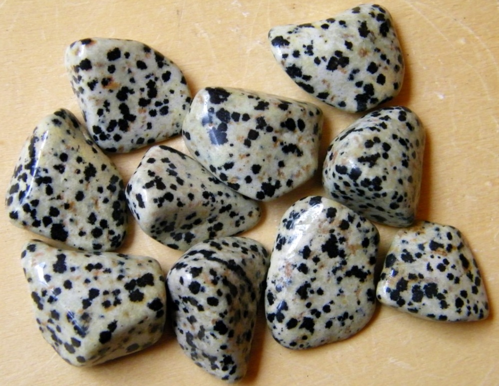 Pierre Jaspe dalmatien