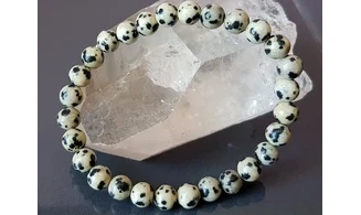 Dalmation Jasper Round beads bracelet