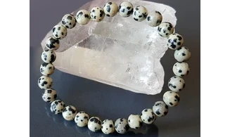 Dalmation Jasper Round beads bracelet