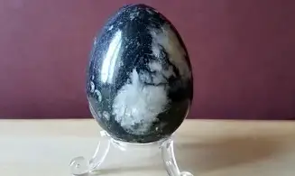 Orthoceras Oeuf pierre 2