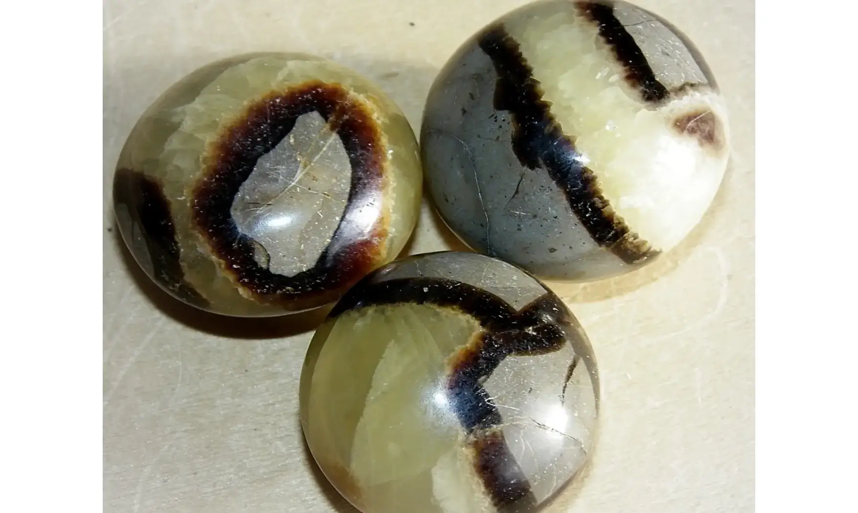 Septaria Galet pierre roulée