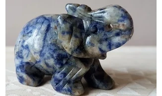 Éléphant Sodalite 2 pierre