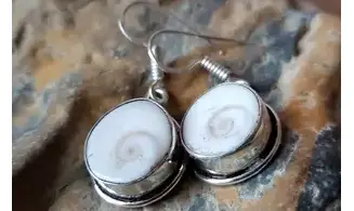 Shiva eye Shell 925 Silver plated 2