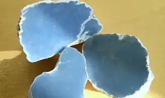 Anhydrite (Angelite) Rough