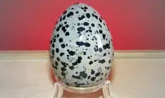 Jaspe Dalmatien Oeuf pierre