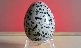 Jaspe Dalmatien Oeuf pierre