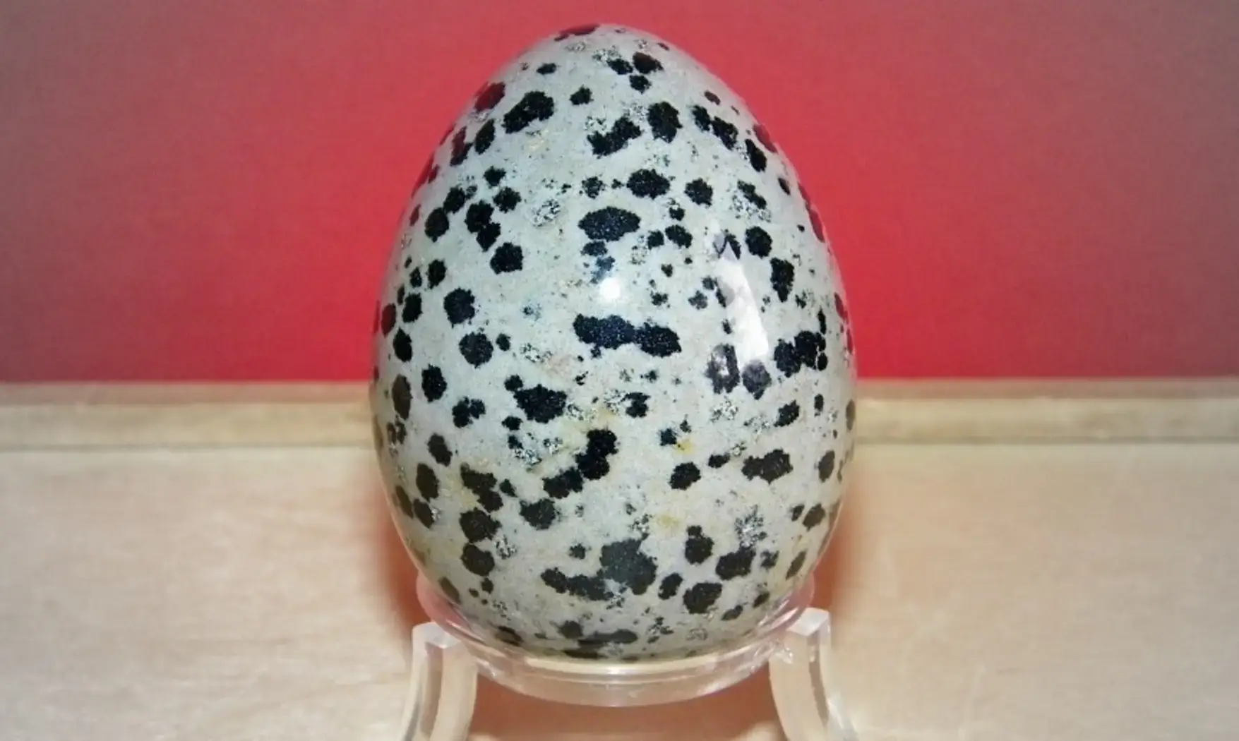 Jaspe Dalmatien Oeuf pierre
