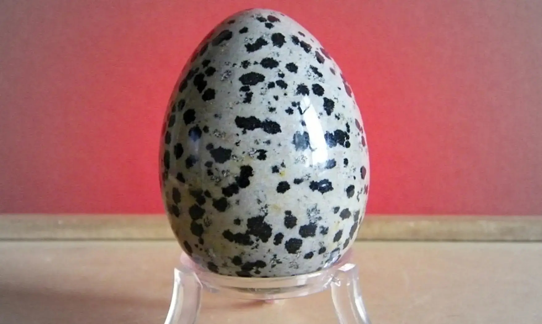 Jaspe Dalmatien Oeuf pierre
