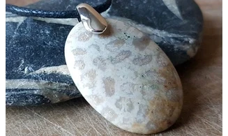 Corail fossile Galet pierre pendentif