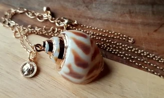 Coquillage Babylonia Pendentif