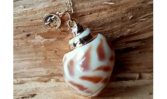 Coquillage Babylonia Pendentif