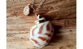 Coquillage Babylonia Pendentif