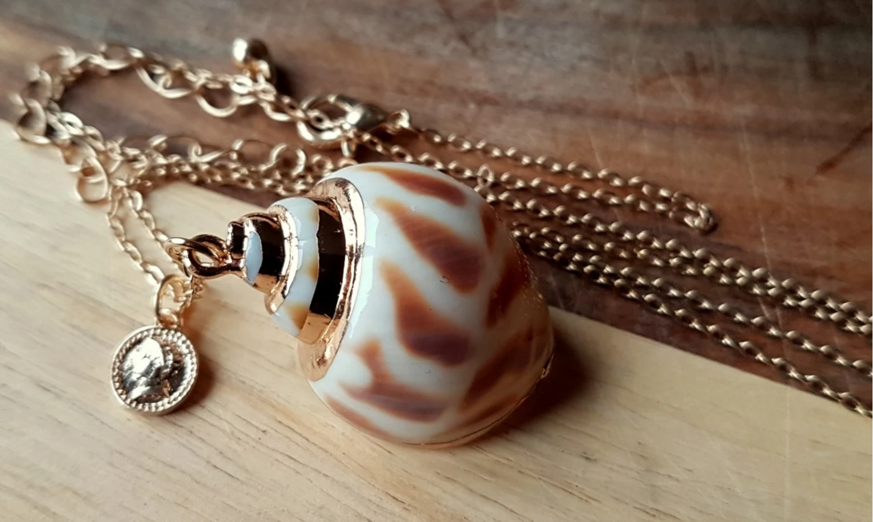 Coquillage Babylonia Pendentif