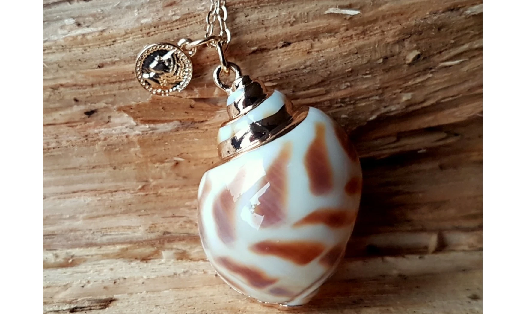 Coquillage Babylonia Pendentif