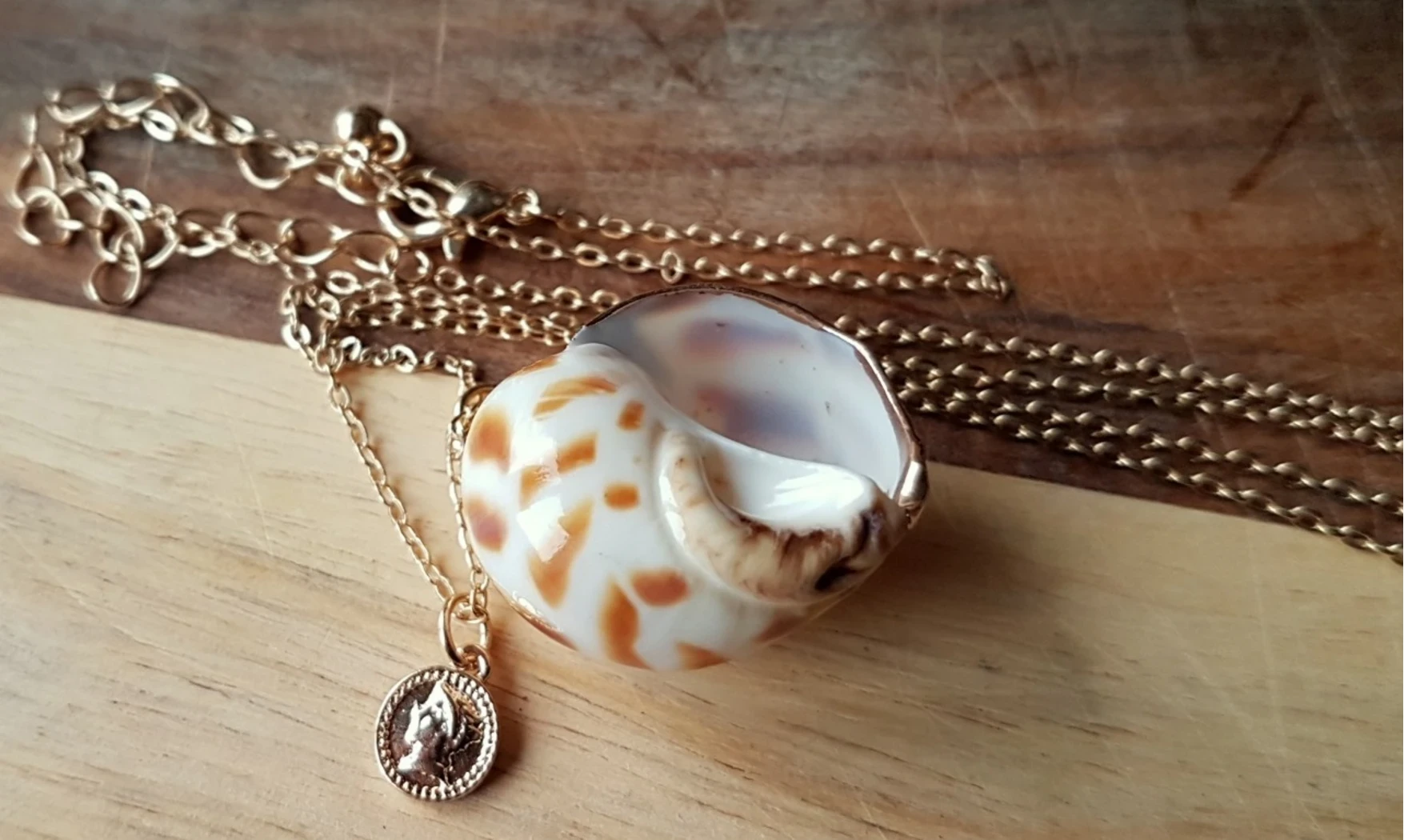 Coquillage Babylonia Pendentif