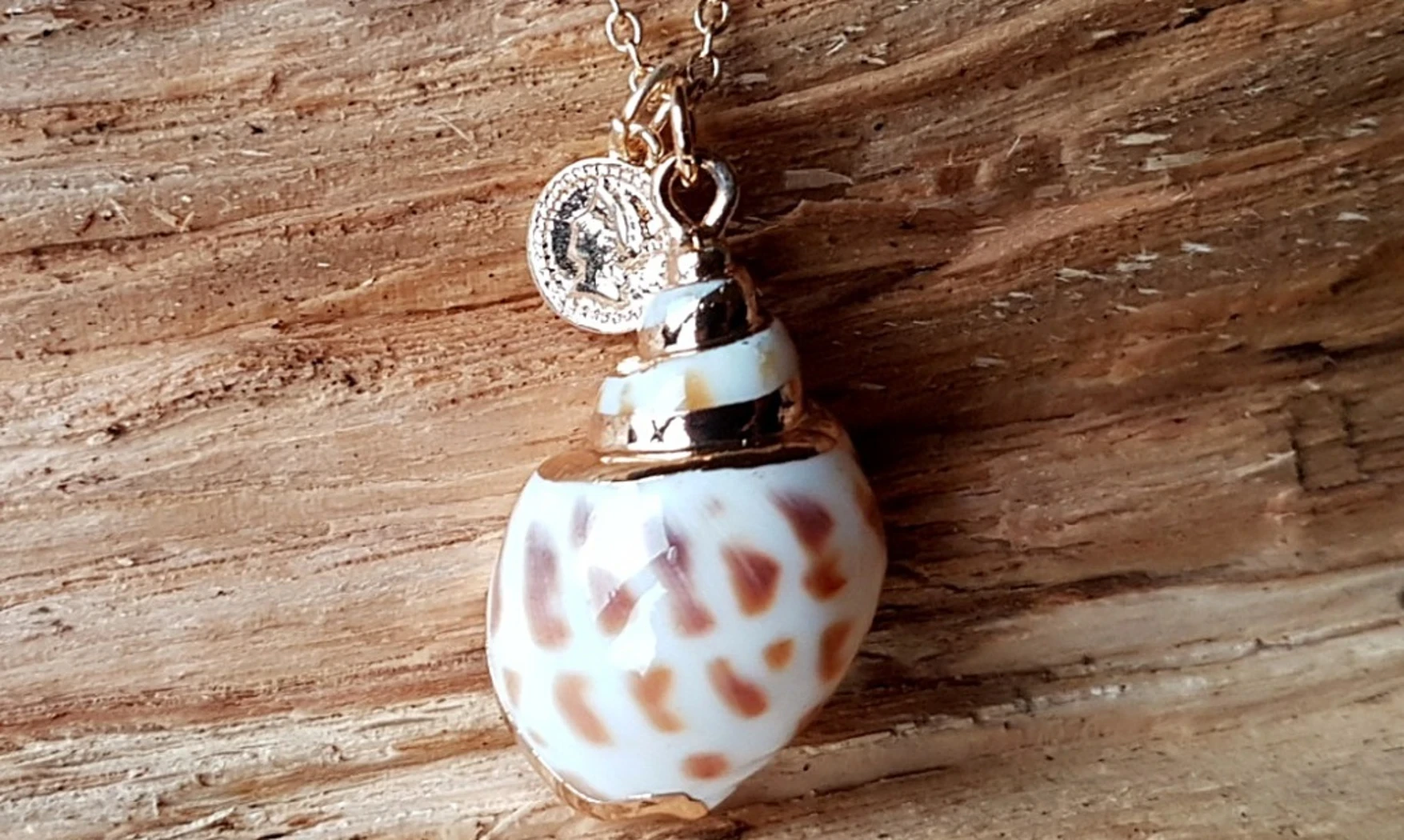 Coquillage Babylonia Pendentif