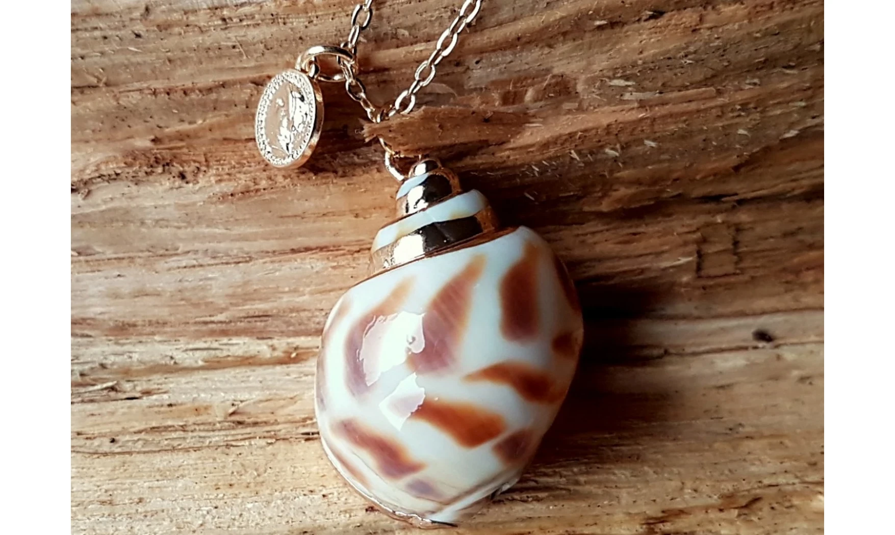 Coquillage Babylonia Pendentif