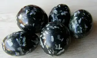 Chrysanthème Stone Galet pierre roulée