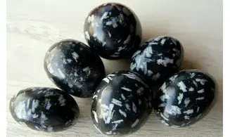 Chrysanthème Stone Galet pierre roulée
