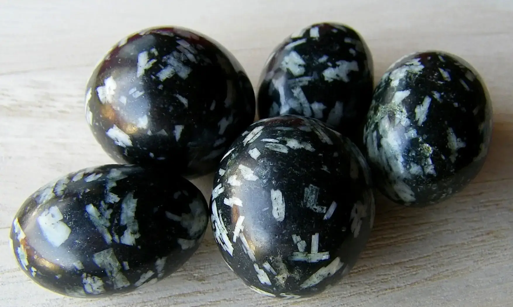 Chrysanthème Stone Galet pierre roulée