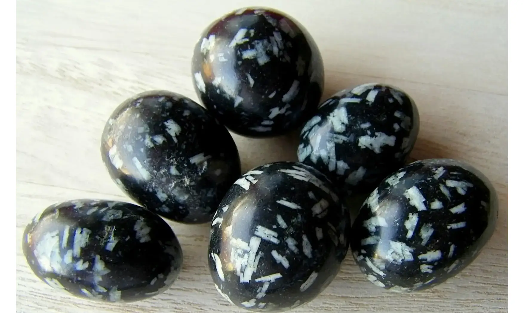 Chrysanthème Stone Galet pierre roulée