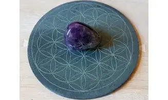 Energy-Plate Flower of Life