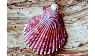 Coquillage Pecten rouge Pendentif