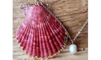 Coquillage Pecten rouge Pendentif