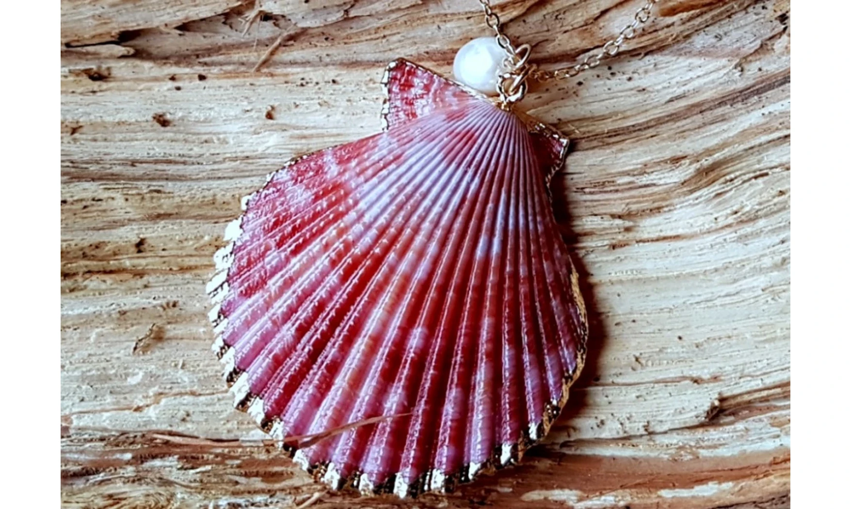 Coquillage Pecten rouge Pendentif