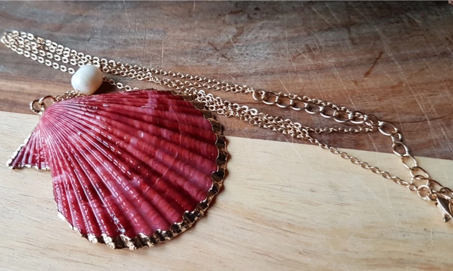 Coquillage Pecten rouge Pendentif