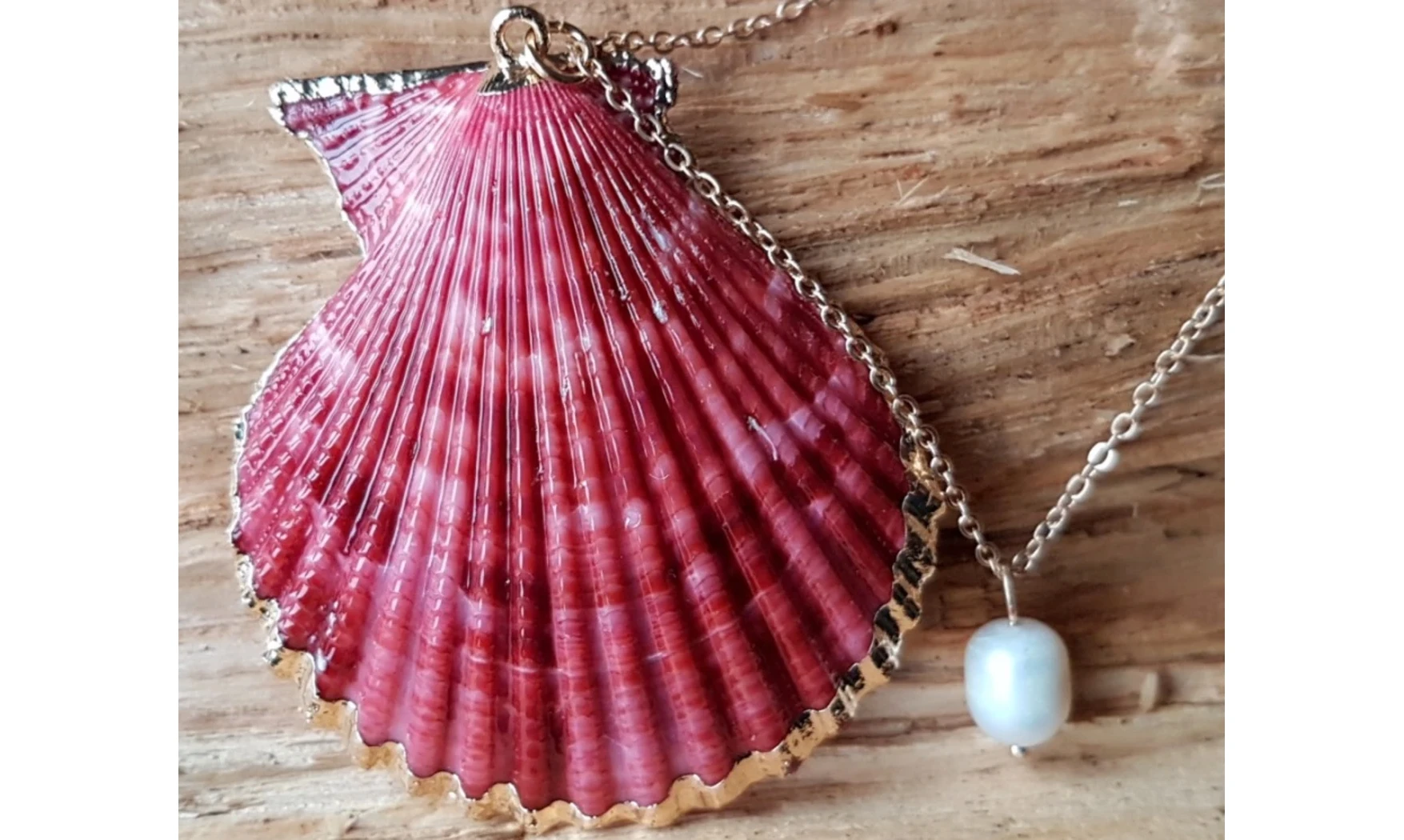 Coquillage Pecten rouge Pendentif