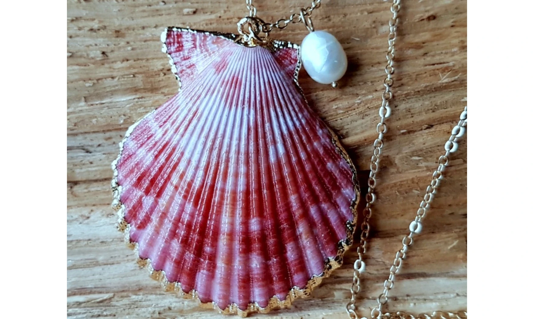 Coquillage Pecten rouge Pendentif