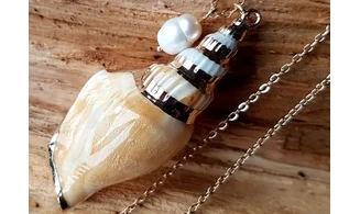 Coquillage Strombus Dilatatus Pendentif