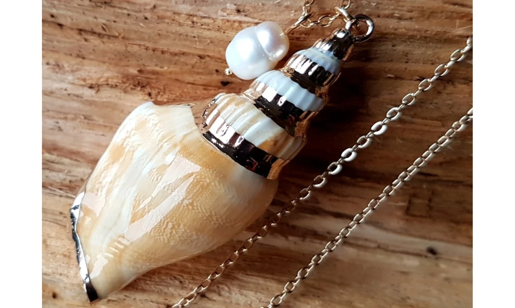 Coquillage Strombus Dilatatus Pendentif