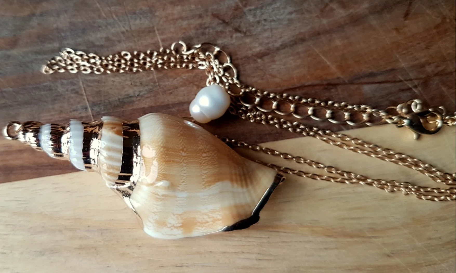 Coquillage Strombus Dilatatus Pendentif