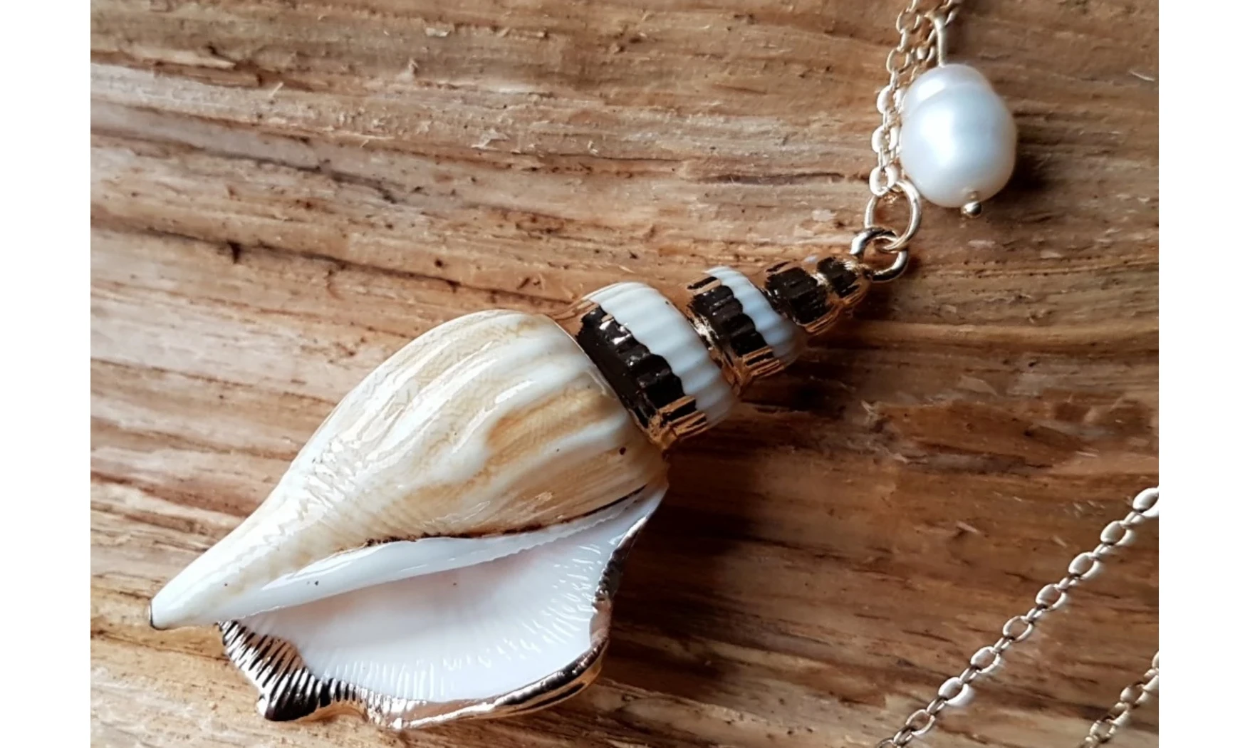 Coquillage Strombus Dilatatus Pendentif