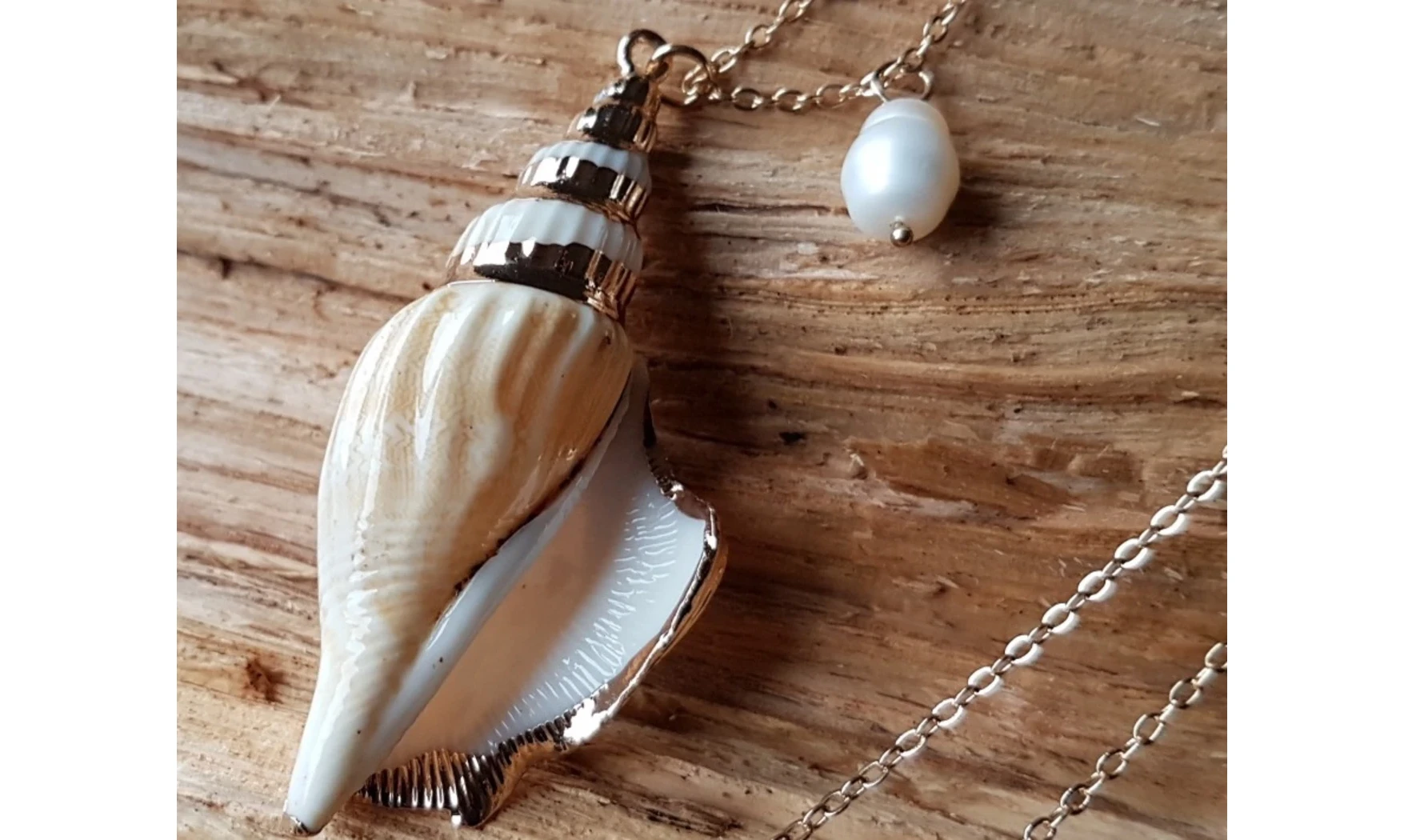 Coquillage Strombus Dilatatus Pendentif