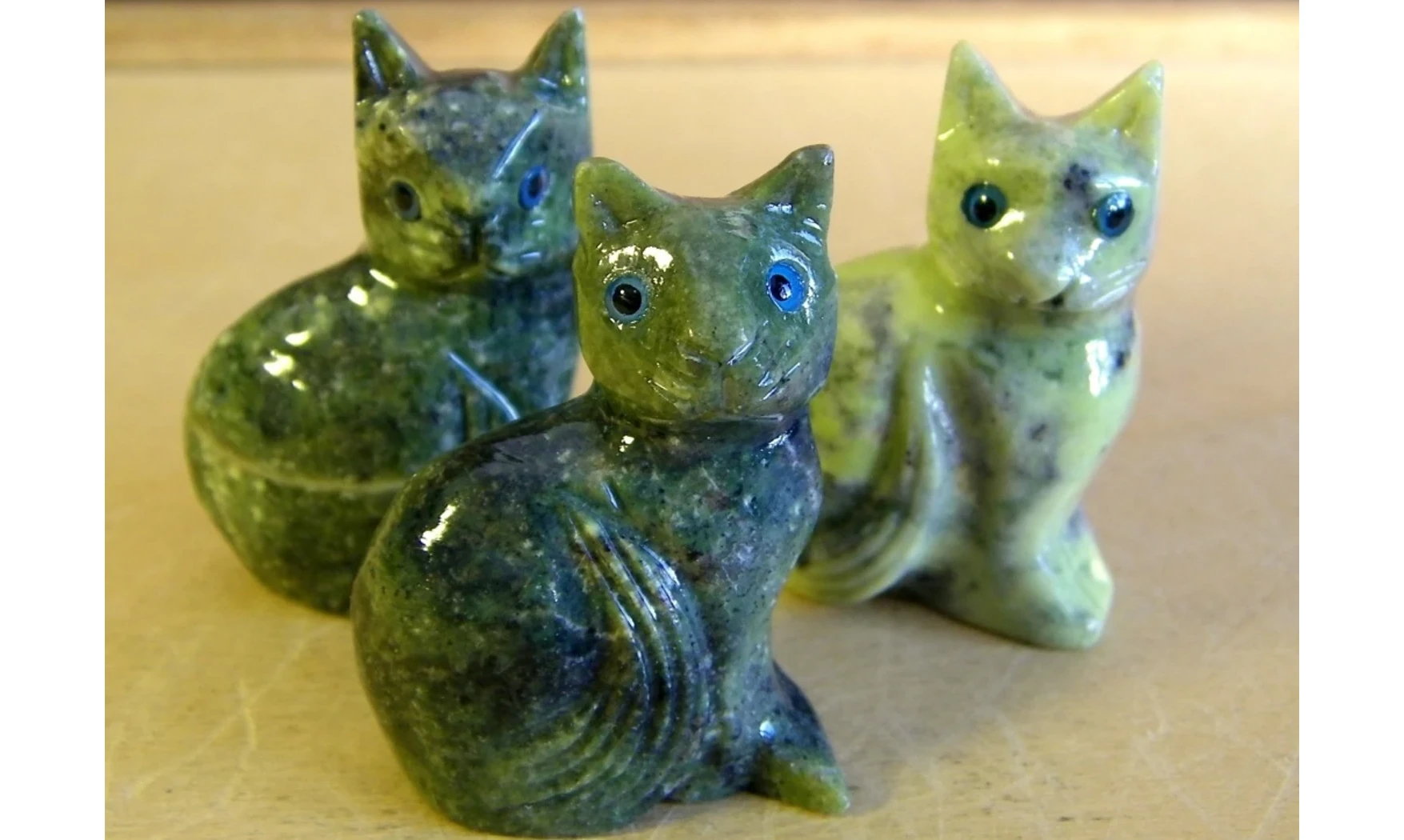 Chat pierre Serpentine