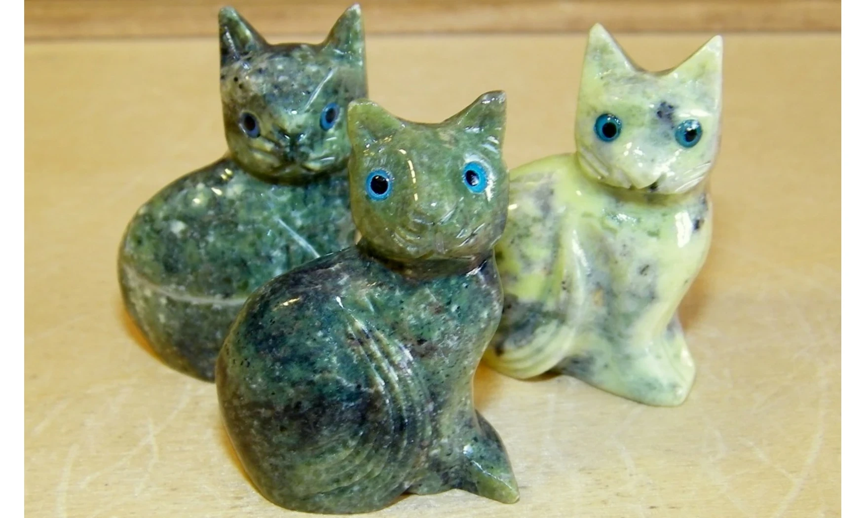 Chat pierre Serpentine