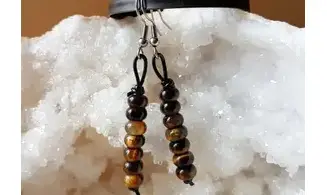 Tiger Eye Earrings