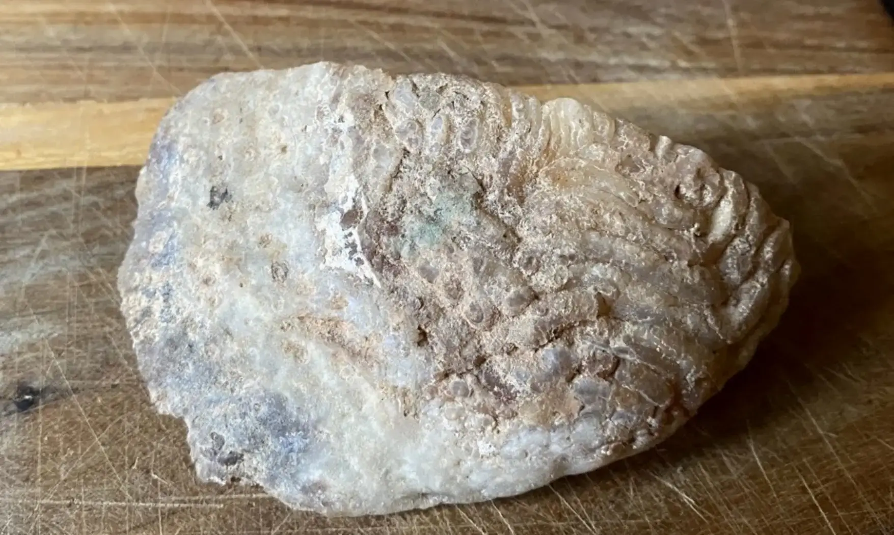 Agate Géode PG5 Cristaux