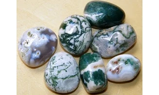 Agate Arbre pierre roulée
