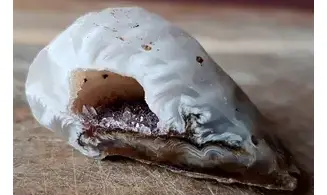 Natural Agate Geode PG8