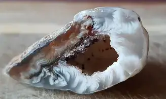 Natural Agate Geode PG8