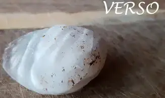 Natural Agate Geode PG8