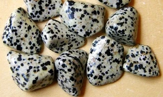 Dalmation Jasper Tumbled Stone