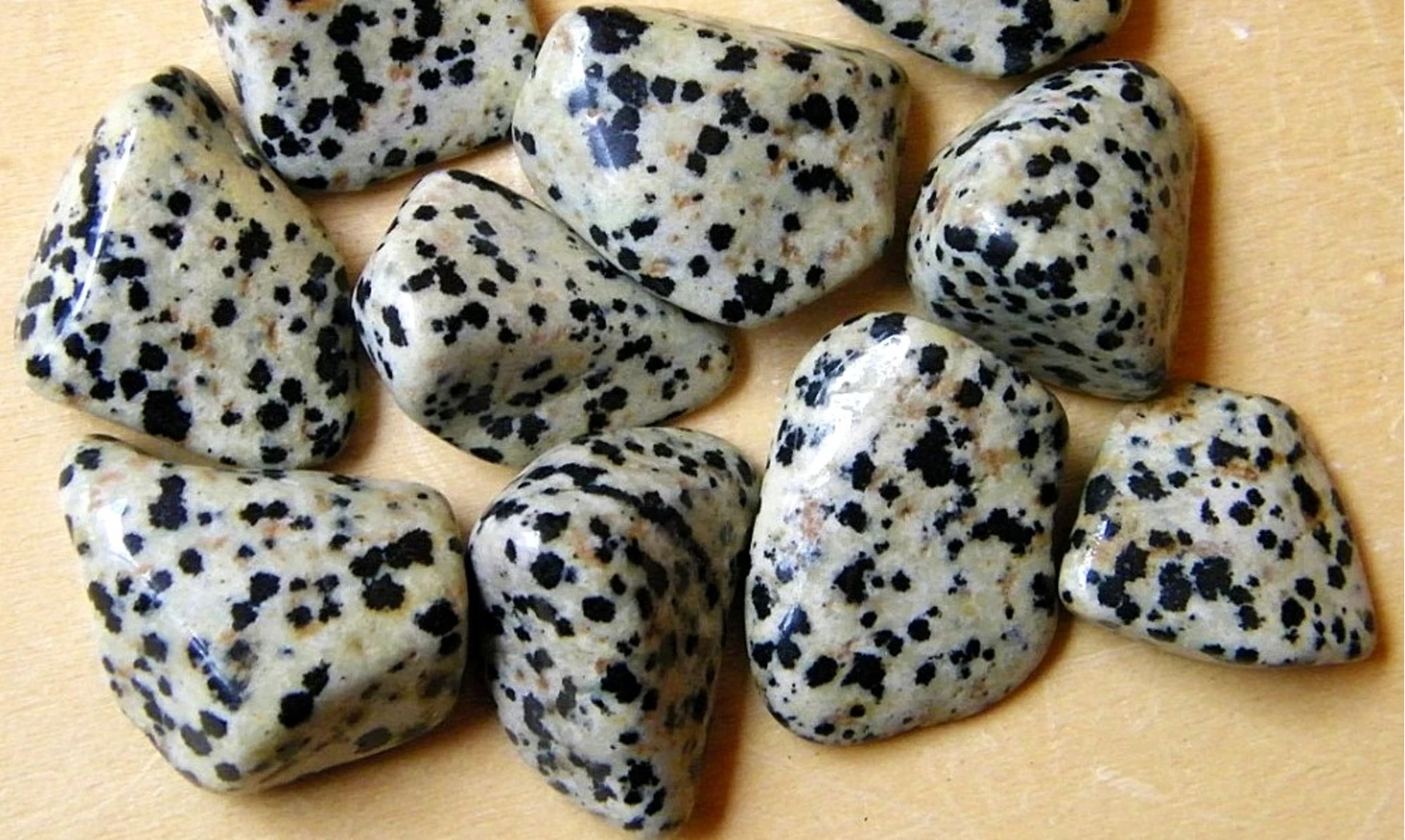 Dalmation Jasper Tumbled Stone