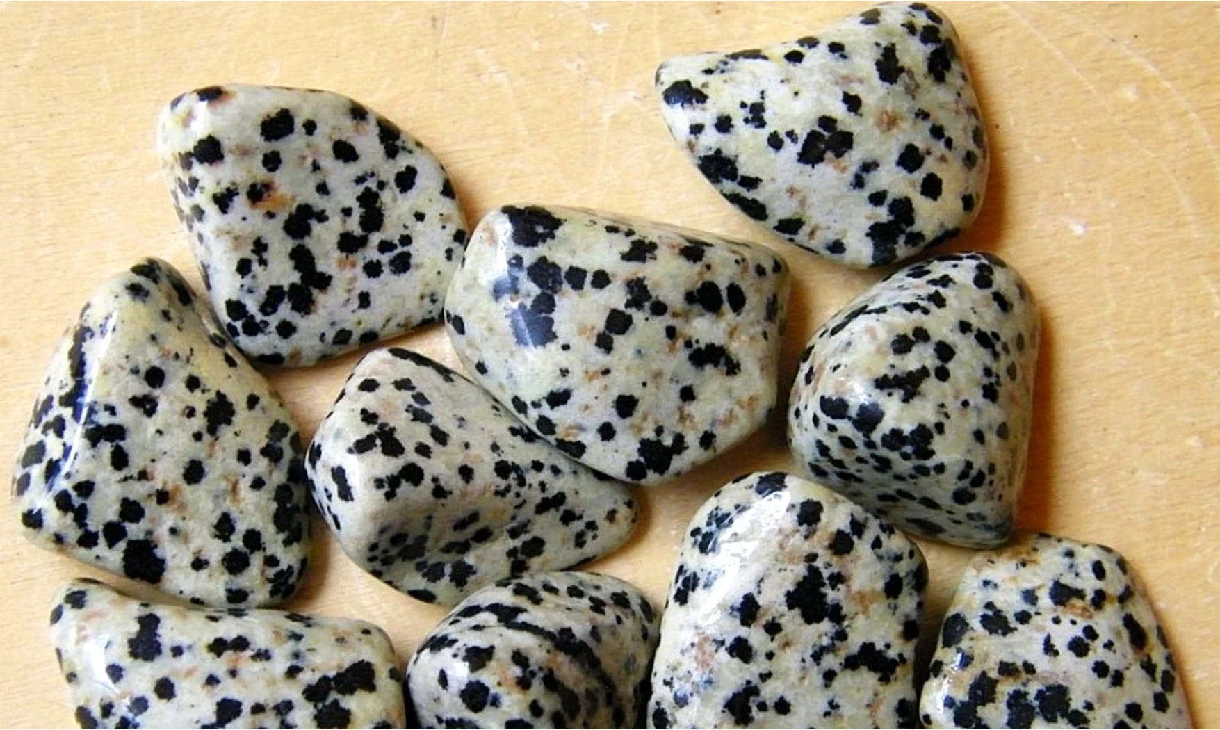 Dalmation Jasper Tumbled Stone