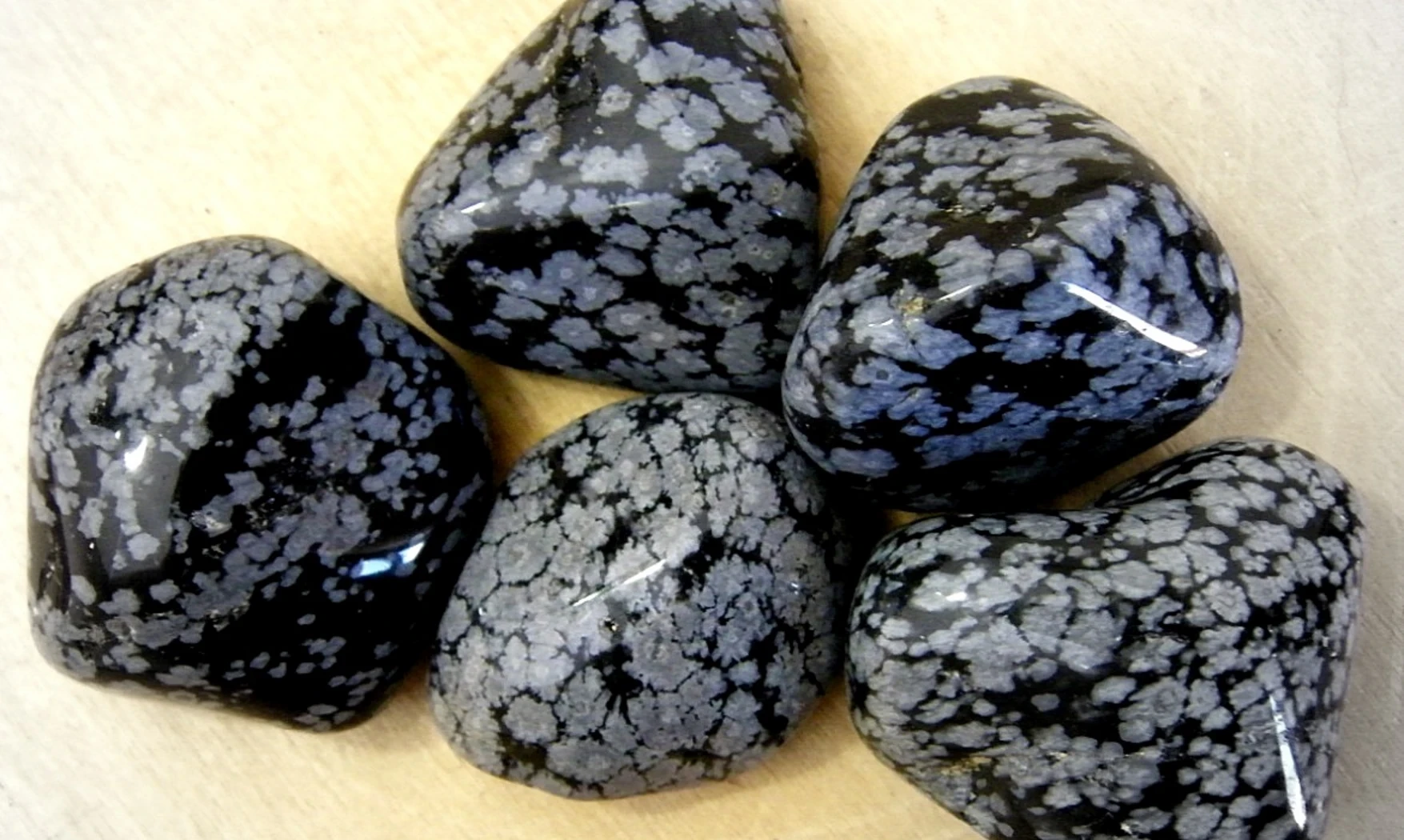 Obsidienne neige pierre roulée