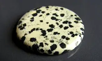 Dalmatian Jasper Palm Stone